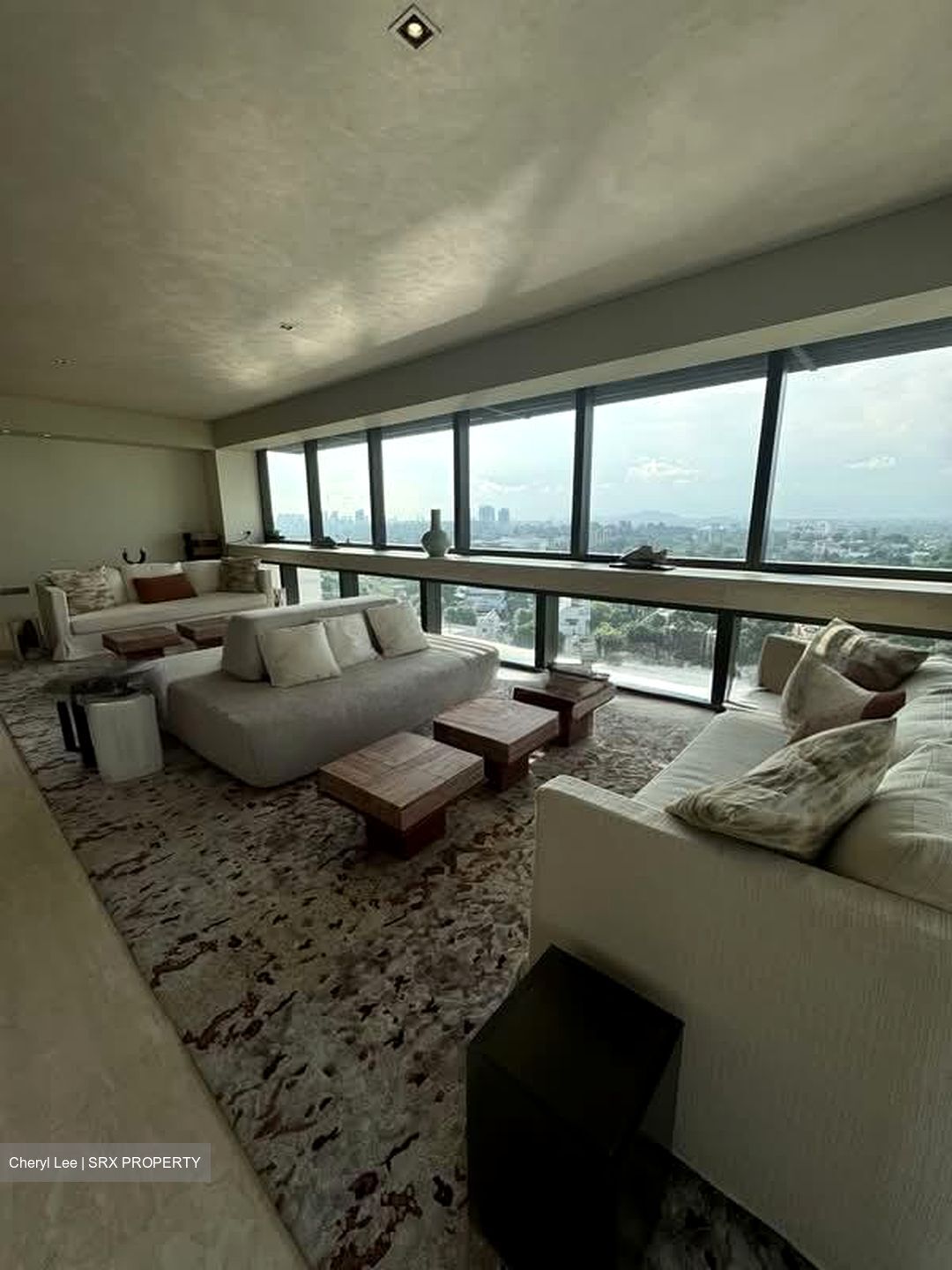Hana (D10), Condominium #599654371